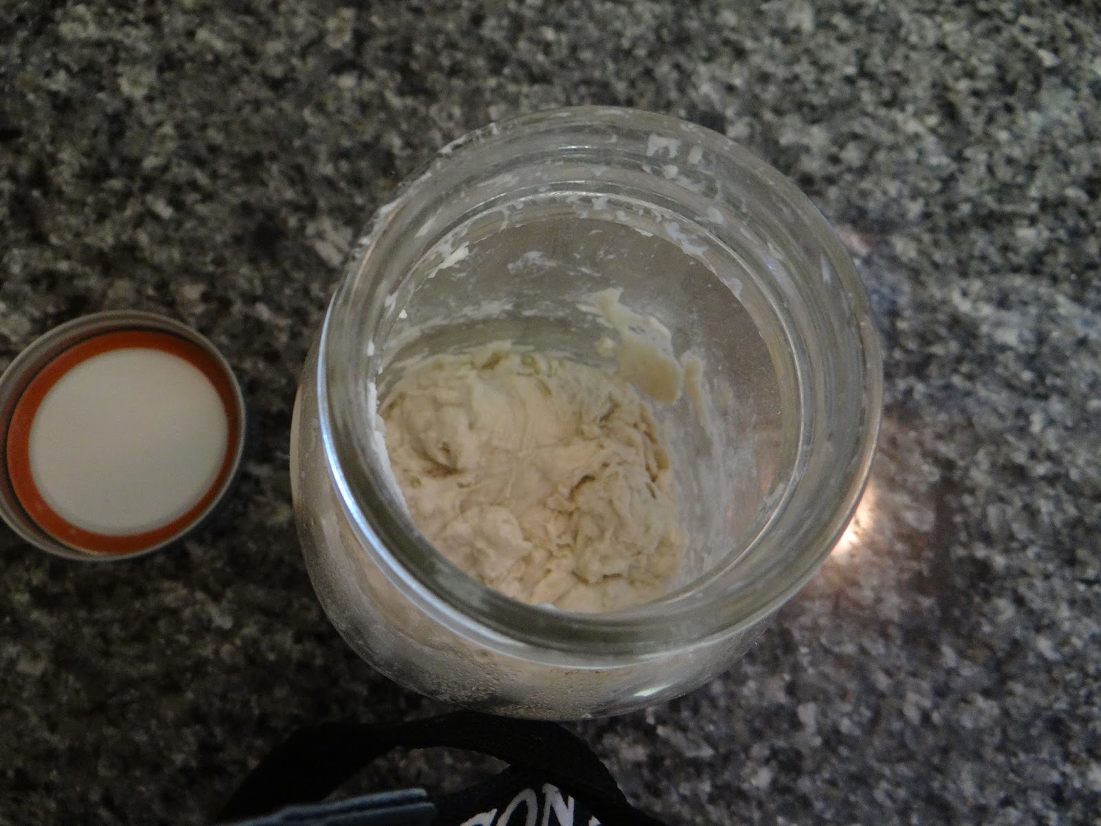 Sourdough Starter Science