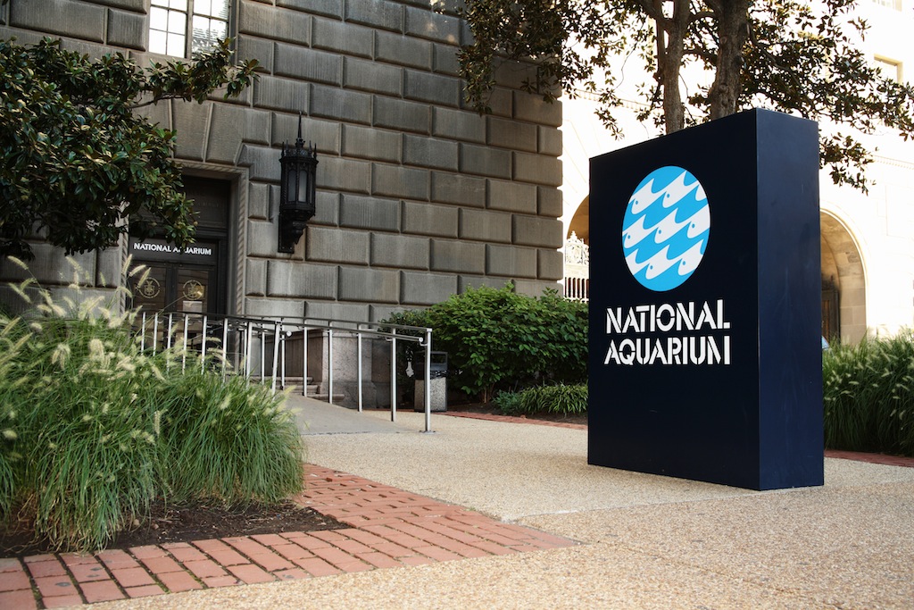 National Aquarium to Close DC Facility September 30th DC Outlook