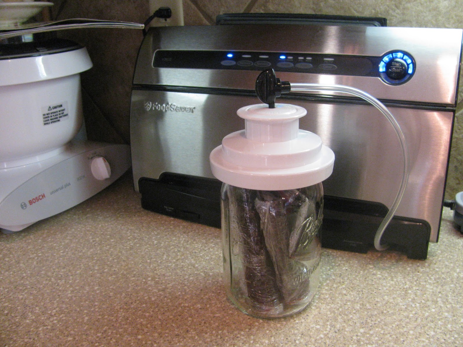 The Harried Homemaker Preps The Easiest Fruit to Grow for Survival