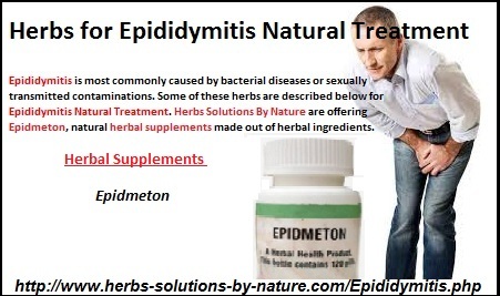 Natural Cure For Epididymitis 112