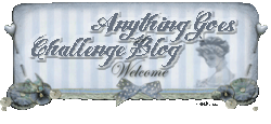 ANYTHING GOES CHALLENGE BLOG