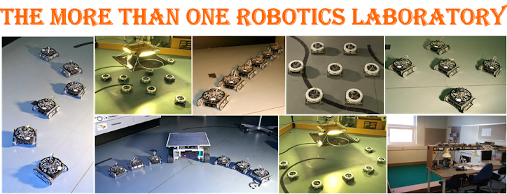 Welcome to the More-than-One robotics lab!