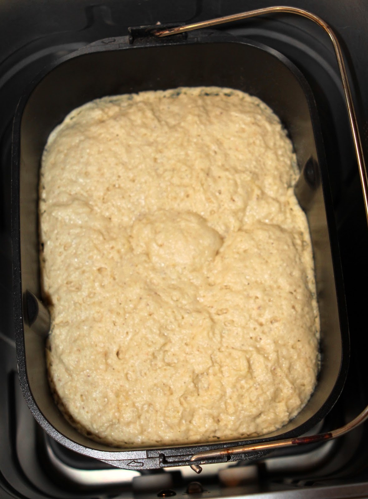 Gluten Free Alchemist Chestnut & Rice Flour Bread