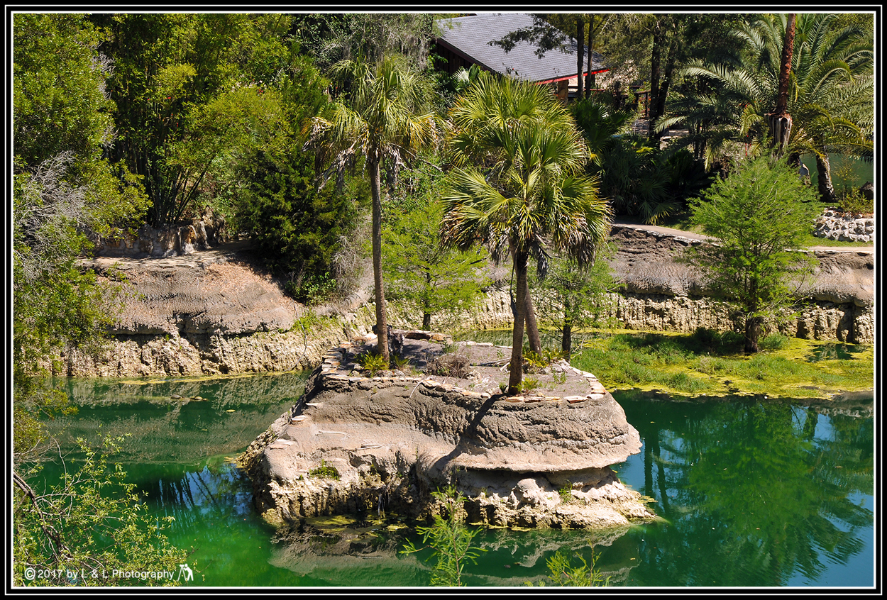 Ocala, Central Florida & Beyond Cedar Lakes Woods & Gardens