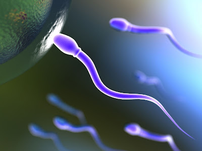 Nacimiento del hombre y espermatozoides en biologia