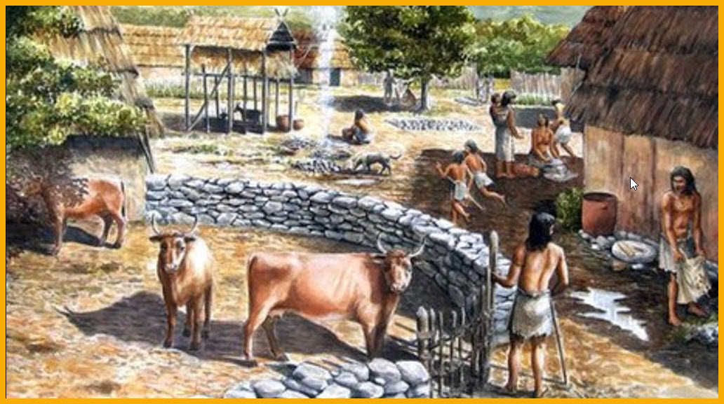 S T R A V A G A N Z A LIVESTOCK OF THE EARLY EUROPEAN FARMERS