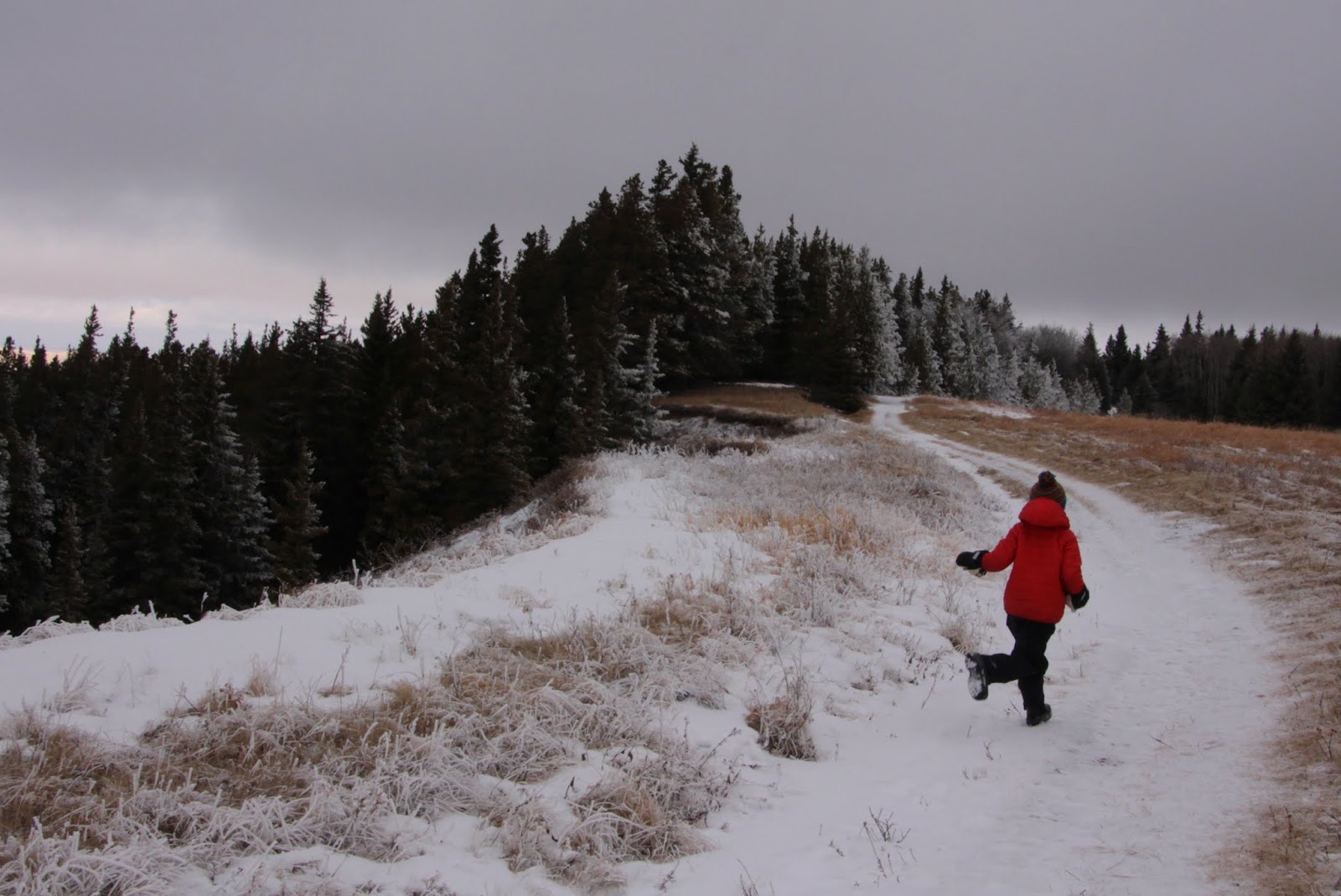 Family Adventures in the Canadian Rockies Winter Fun in Cypress Hills