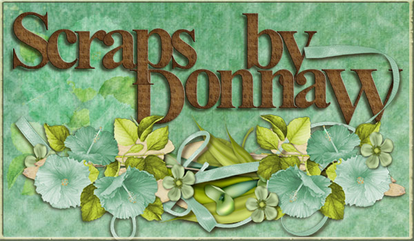 Scraps by Donna W