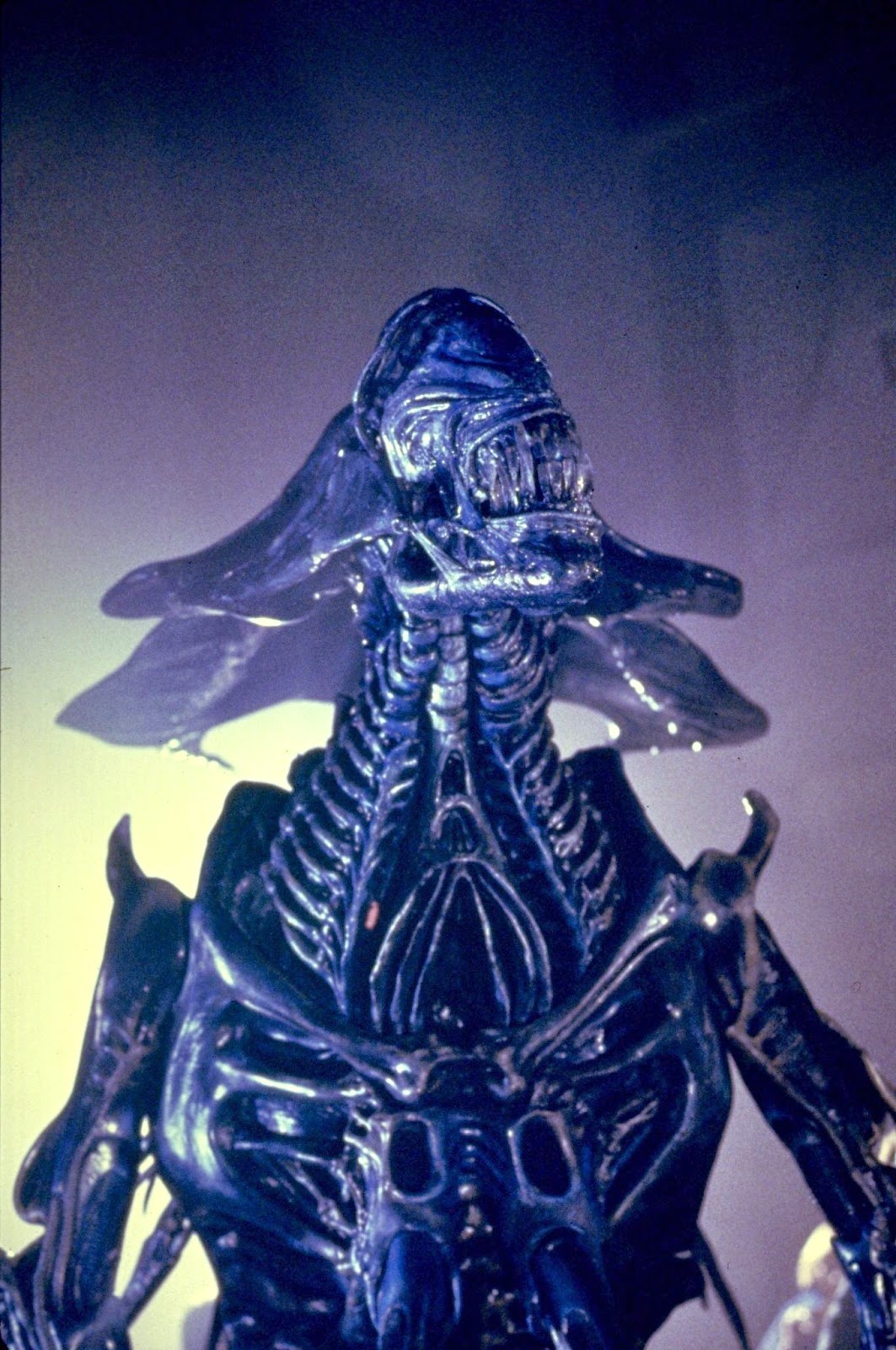 aliens-(1986)-large-picture.jpg