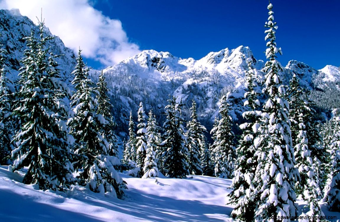 Mountain Forest Snow Wallpaper For Desktop 387 Wallpaper