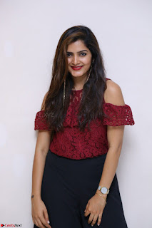 Pavani Gangireddy in Cute Black Skirt Maroon Top at 9 Movie Teaser Launch 5th May 2017  Exclusive 003