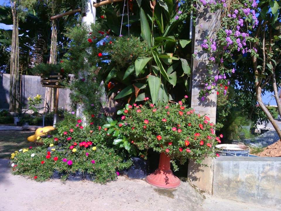 Rumah Bunga  Neisha Pot Bunga dari Paralon  dan Ban Bekas