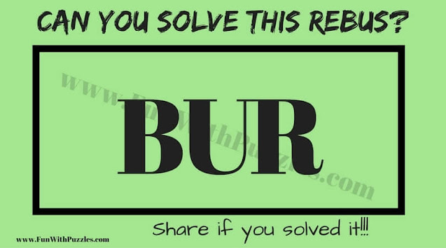 Can you find the hidden meaning of this Rebus Puzzle Question?