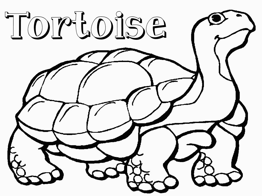 yertle the turtle coloring pages - photo #26
