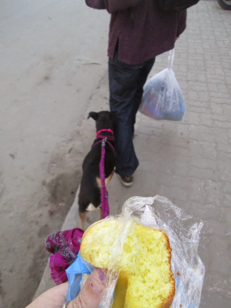 ani-and-britt-in-nepal-a-working-day-in-kathmandu