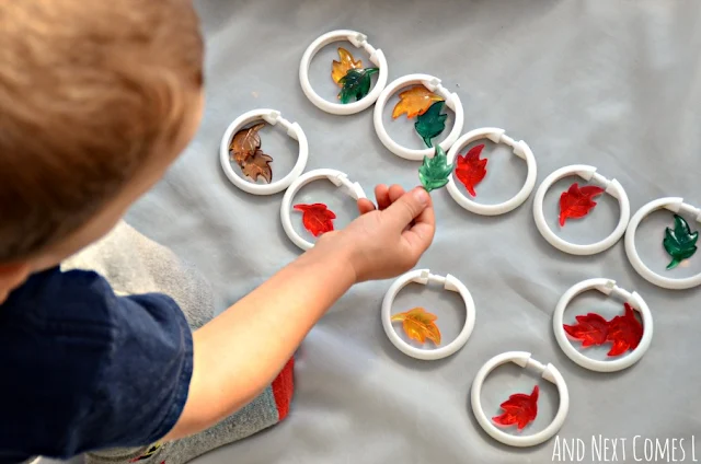 Toddler sorting and grouping leaves for a fall math activity tray