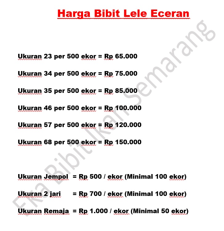 harga bibit ikan nila dan lele harga bibit ikan nila dan lele