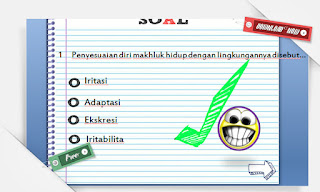 Sola Latihan Media Pembelajaran IPA SD Kelas 3, 5, 6 dengan Power Point (PPT) Sola Latihan Media Pembelajaran IPA SD Kelas 3, 5, 6 dengan Power Point (PPT)