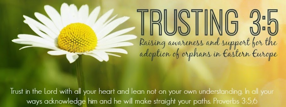 Trusting3:5