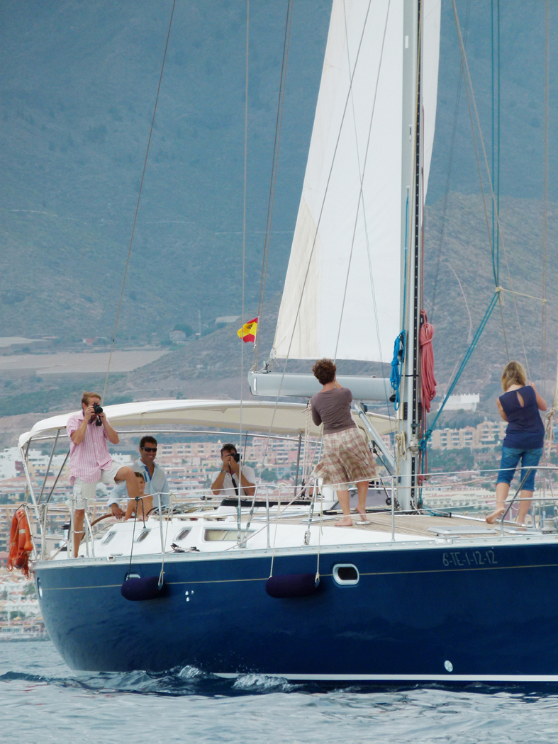 Blue Jack Sail TENERIFE SAILING YACHT CHARTERBLUE JACK