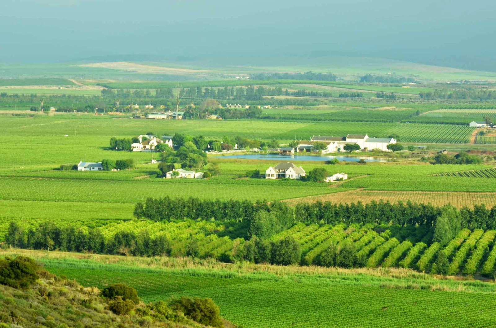 . Excelsior Wine Estate, Robertson