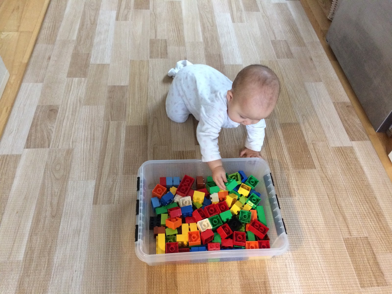 Family FECS Toy of the Day LEGO Sensory Box (6M28D)