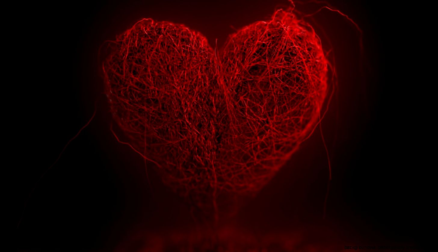 My Heart Valentines Day Fresh Hd Wallpapers   1600x900 iWallHD