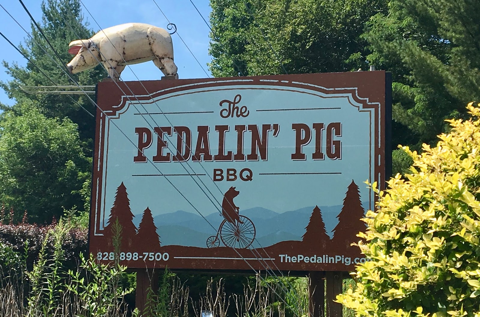 The Gluten Dairy Free Review Blog The Pedalin Pig Review