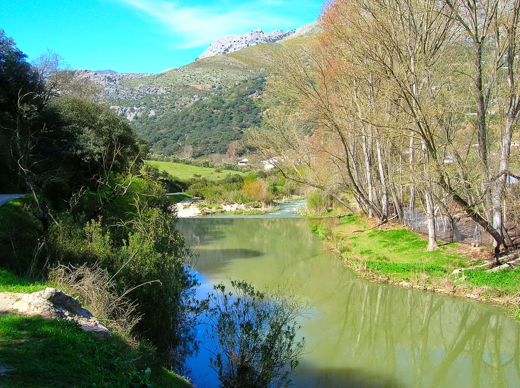 Río Guadiaro