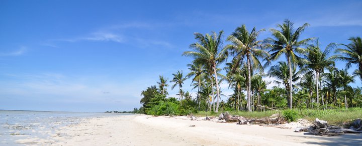 picnic2indonesia.blogspot.com