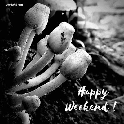 black and white photography ideas - mushroom