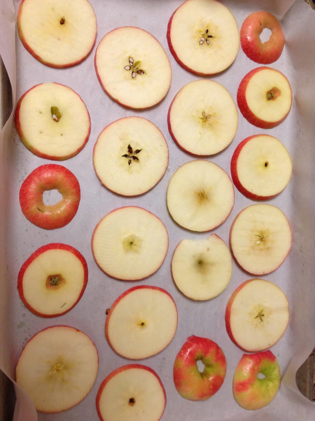 Working Out and Eating In OvenDried Cinnamon Apple Slices