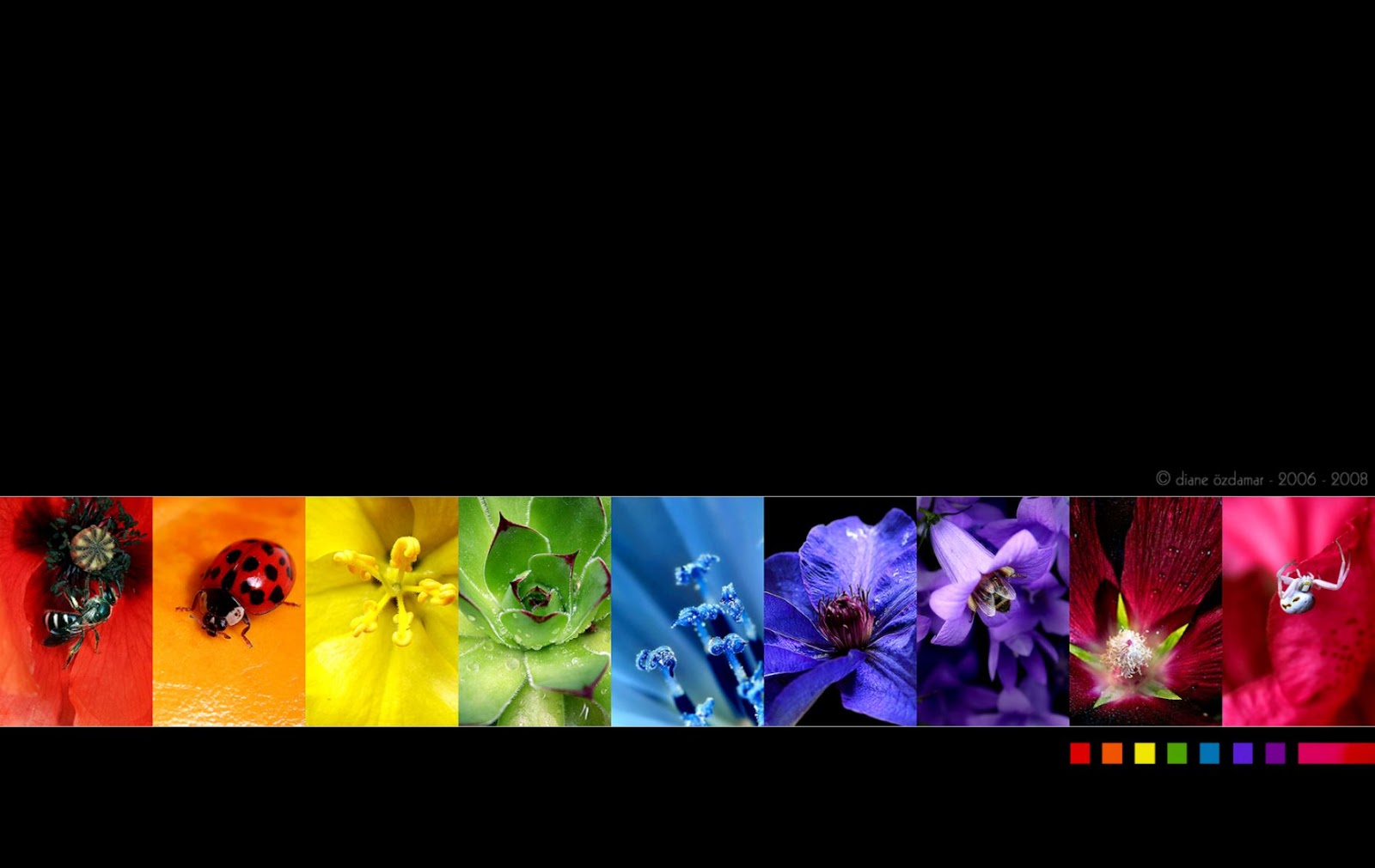 Rainbow and Black Desktop