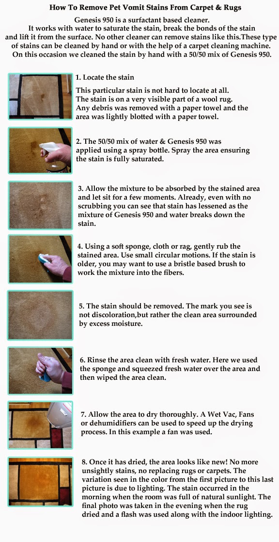 How to remove pet stains