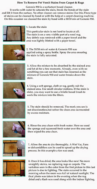 Best Way To Clean Pet Stains