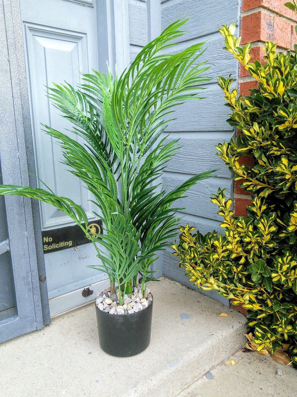 Facebook Twitter Pinterest