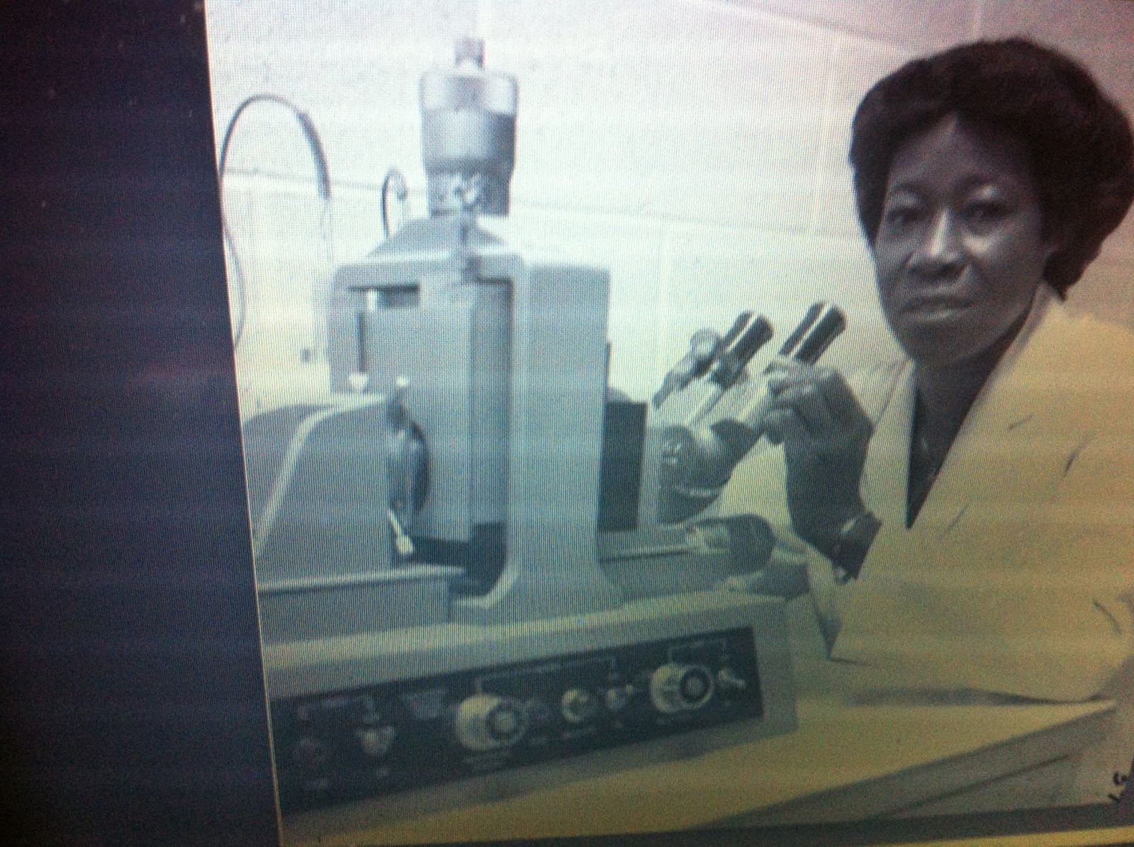 THE BLACK SOCIAL HISTORY BLACK SOCIAL HISTORY AFRICAN AMERICAN