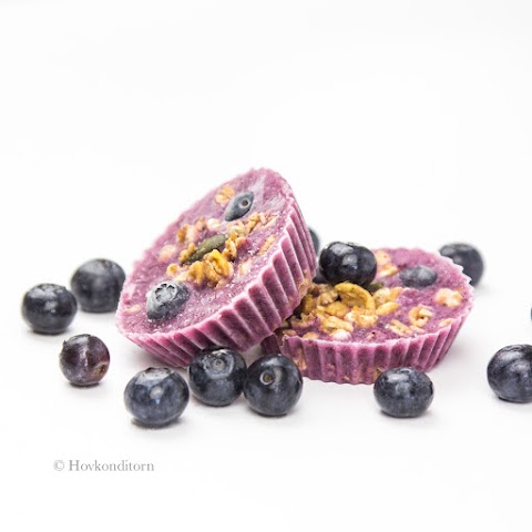 Blueberry Granola Yogurt Ice Cream Cups