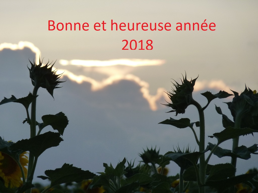 Enitram Chemin Faisant Tous Mes Vœux De Bonheur