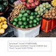 Google Cloud Vision API changes the way applications understand images