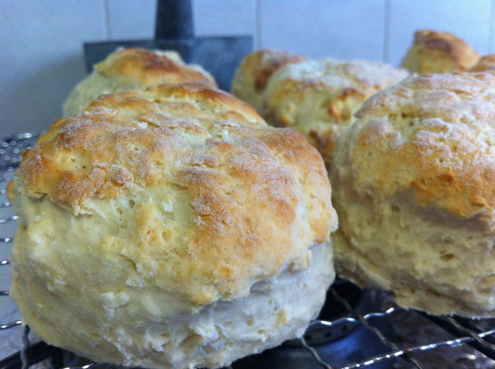 CookingNotes PLAIN SCONES