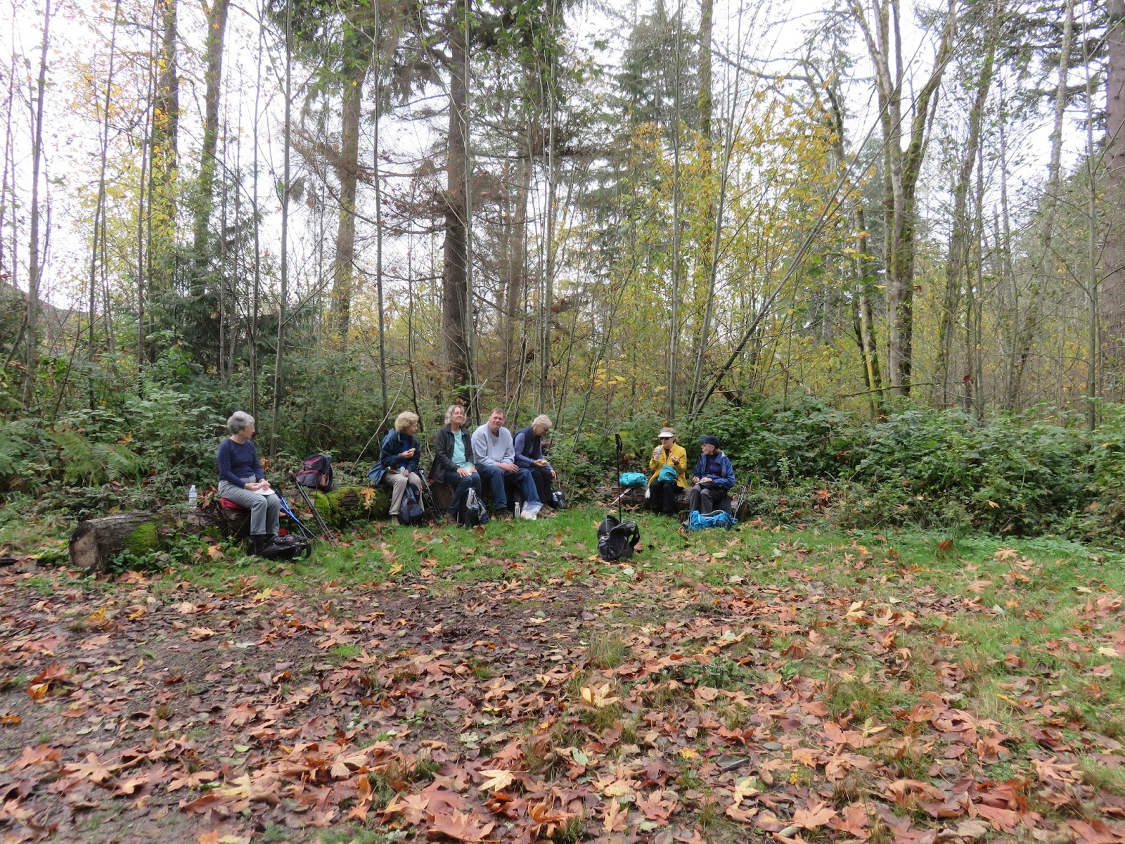 Writing With a Texas Twang: Soaring Eagle Regional Park - #