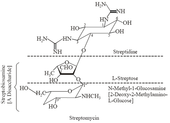 Streptomycin Synonym Streptomycin A