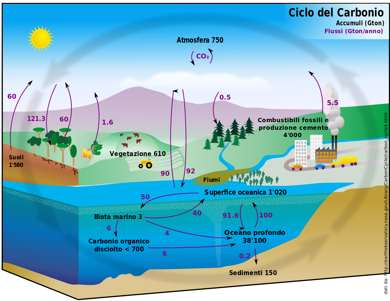 L'angolo della Geologia Il ciclo del carbonio L'angolo della Geologia Il ciclo del carbonio