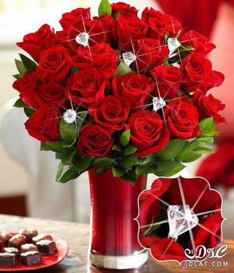 بوكيه ورد أحمر رومانسي Red Wedding Flowers صور ورد وزهور Rose