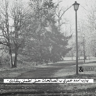 صور عرض صور عرض