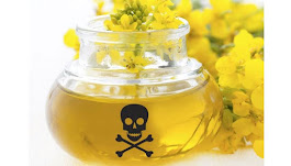 Scientists Finally Issue Warning Against Canola Oil: Study Reveals It Is Detrimental To Brain Health, Contributes To Dementia, Causes Weight Gain
