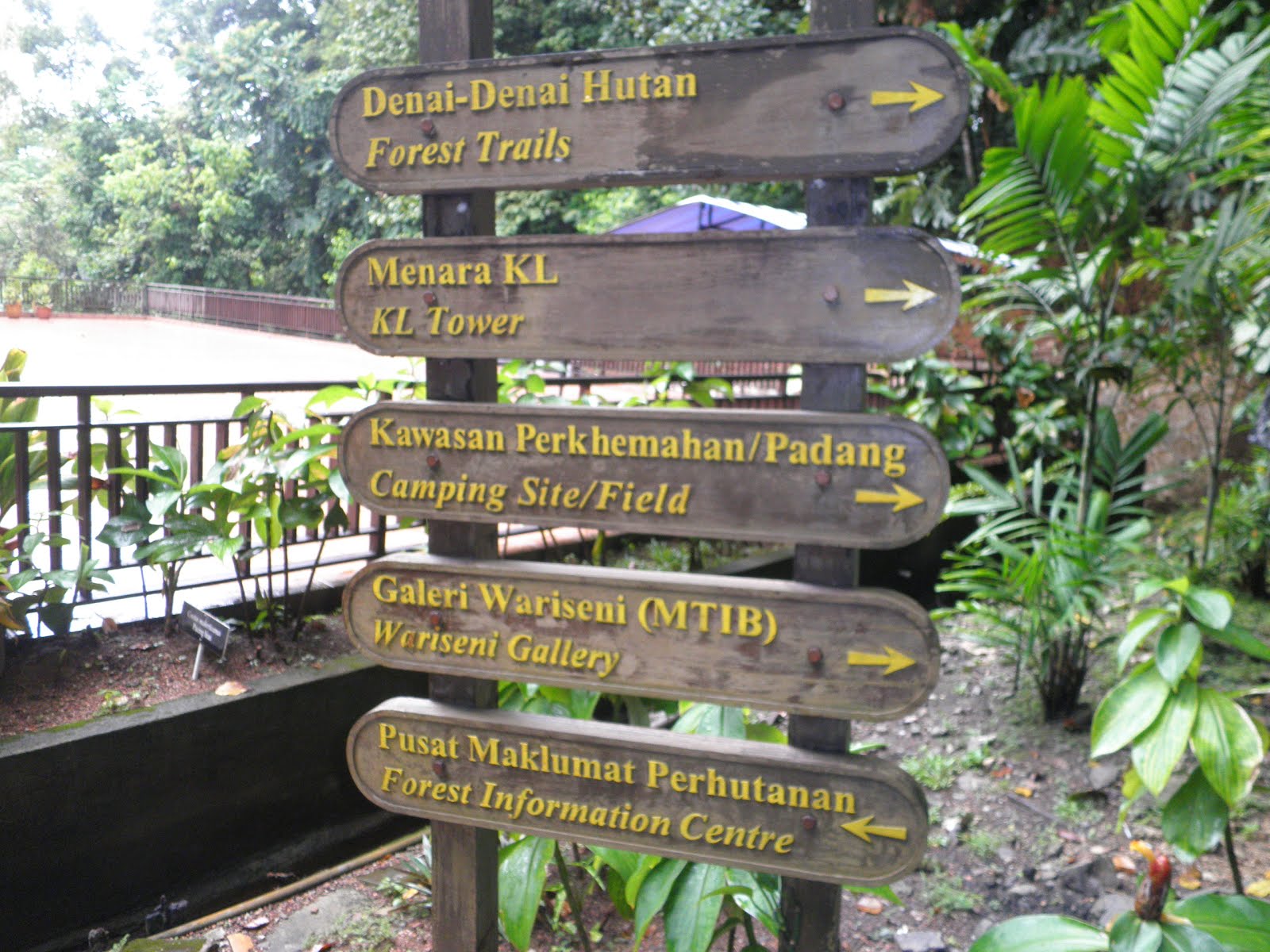 Sungai Siput Boy: Hiking at KL Tower : Hutan Lipur/Simpan Bukit Nanas ...