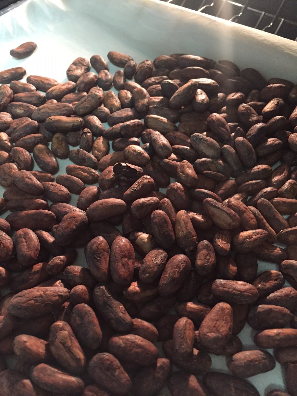 The Ultimate Chocolate Blog Organic Cocoa Beans from Brazil A Review