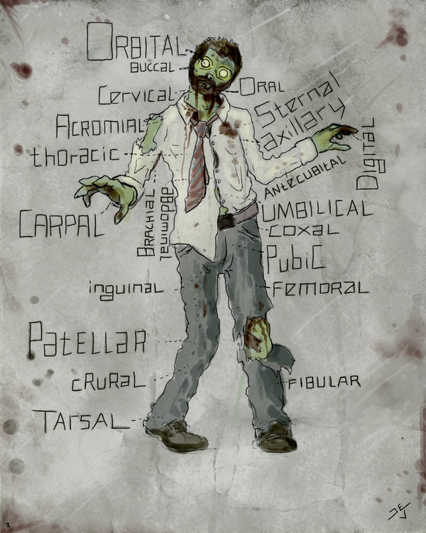 HOW ZOMBIES WORK visual data 7